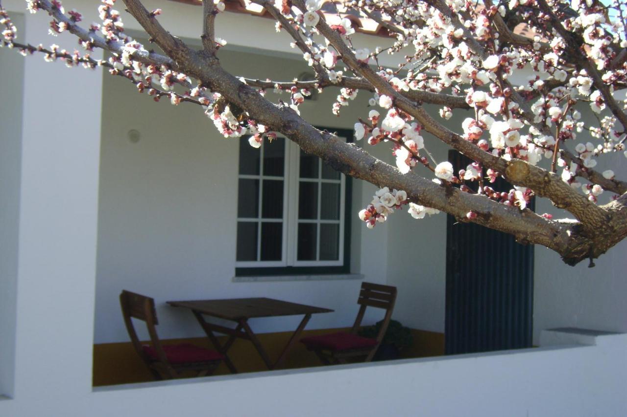 Tapada Da Beira Villa มาร์เวา ภายนอก รูปภาพ